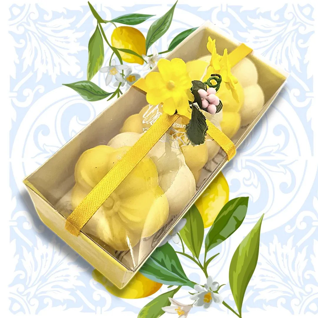 Gift Box set of 6 by Karachi Fudge Company