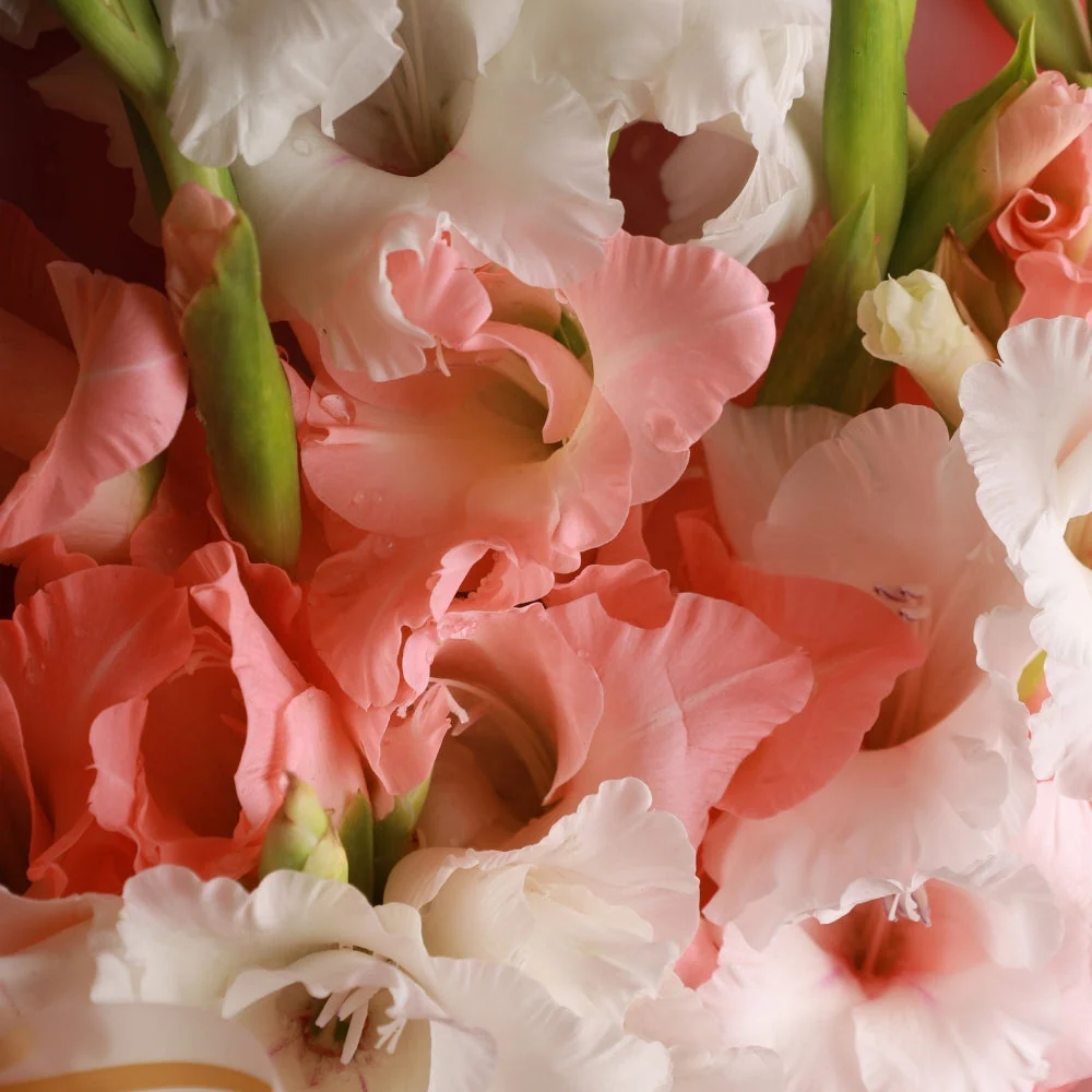 Glamour & Sweets: Rasgulla Bengali with Pink Pastel Bouquet - Image 4